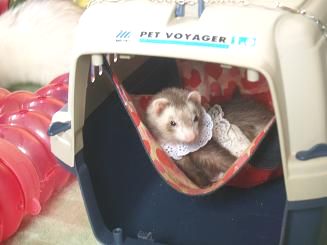 �L�����[�̒��̃n�����b�N����O������t�F���b�g